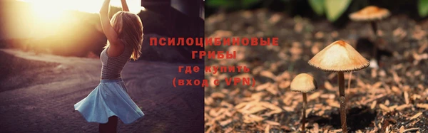 марки nbome Аркадак